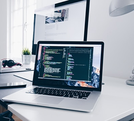 Enterprise software development